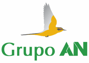 GrupoAN_Cab